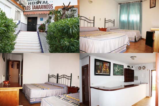 HOSTAL LOS TAMARINDOS * *
